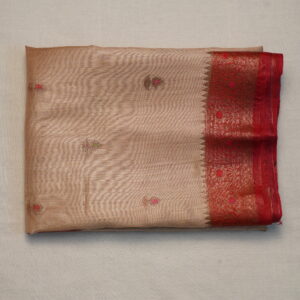 Tussar Monga Ikat Saree